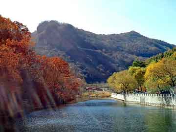 新澳天天开奖资料大全旅游团，上海强拆